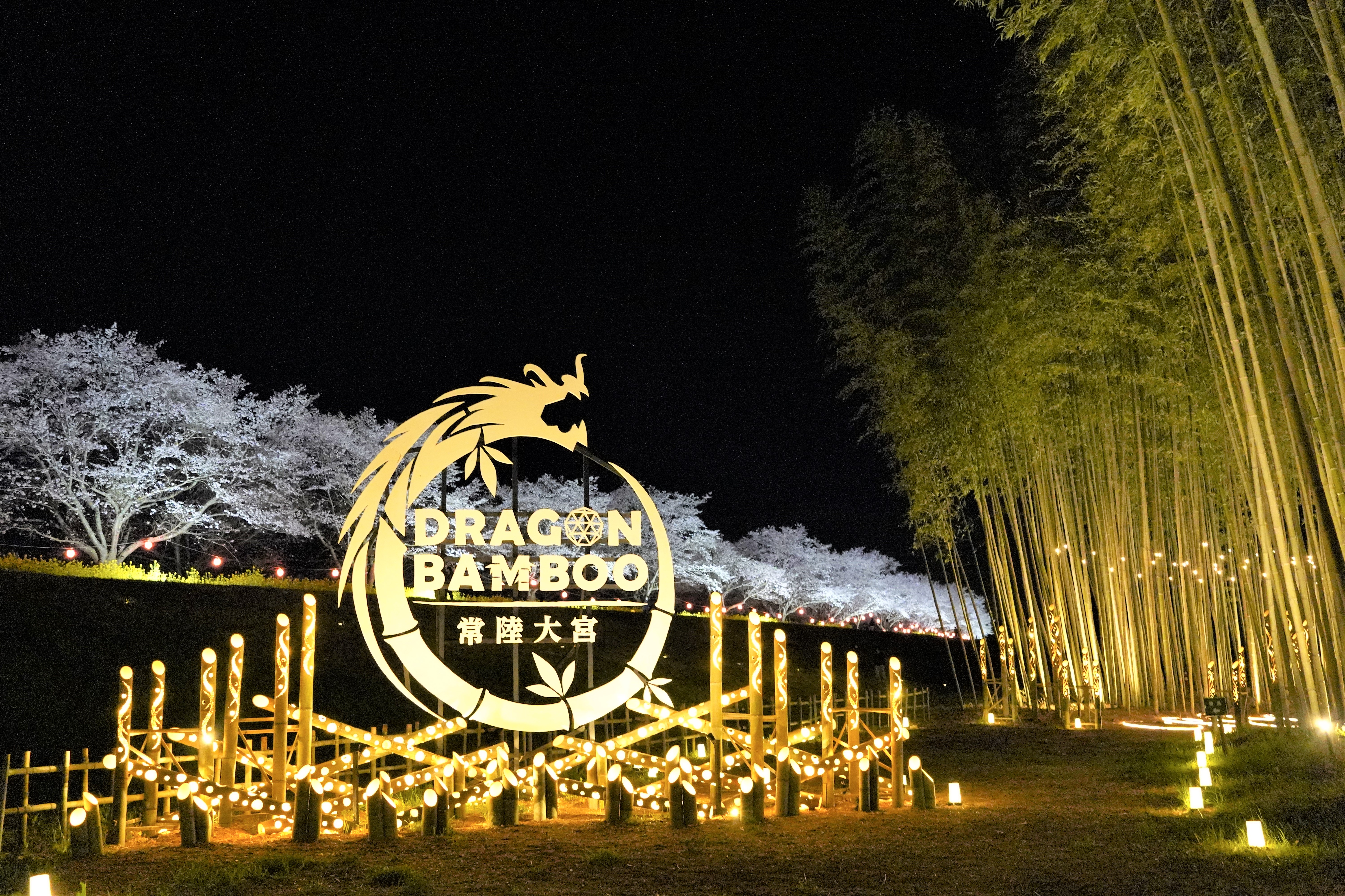 DRAGON BAMBOO
